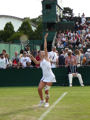 Timea Bacsinszky