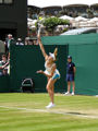 Nicole Vaidisova
