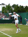 Juan Martin Del Potro