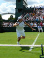Robby Ginepri