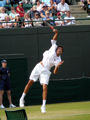Marin Cilic