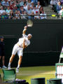 Tommy Haas