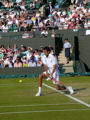 Marin Cilic