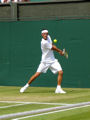 Bernard Tomic