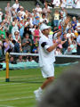Andy Roddick