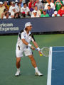 David Ferrer