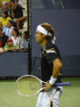 David Ferrer