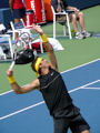 Juan Martin Del Potro