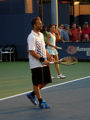Dusan Vemic, Flavia Pennetta