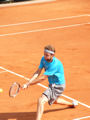 Mardy Fish