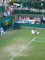 Nicolas Mahut