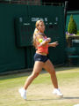 Dominika Cibulkova