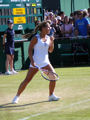 Dominika Cibulkova