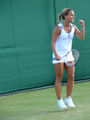 Dominika Cibulkova