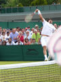 Nenad Zimonjic