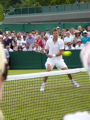 Daniel Nestor