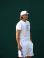 David Ferrer