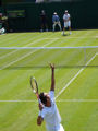 Sergiy Stakhovsky, Sam Querrey