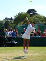 Monica Niculescu