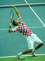 Marin Cilic