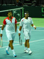 Nenad Zimonjic, Janko Tipsarevic