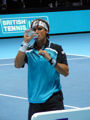 David Ferrer