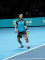 David Ferrer