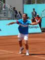 Michael Llodra