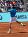 Michael Llodra