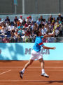Michael Llodra
