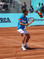 Michael Llodra