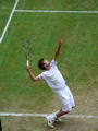 Philipp Petzschner