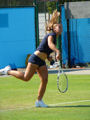 Dominika Cibulkova