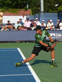 Vasek Pospisil