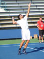 Janko Tipsarevic
