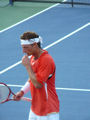 David Nalbandian