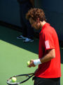 Ernests Gulbis
