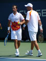 Radek Stepanek, Martin Damm