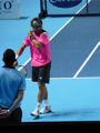David Ferrer