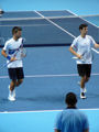 Jrgen Melzer, Philipp Petzschner