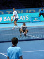 Max Mirnyi, Daniel Nestor