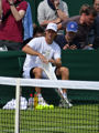 David Nalbandian