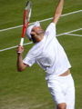 Mardy Fish