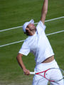 Mardy Fish