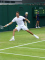 Marin Cilic