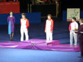Ning Ding, Xiaoxia Li, Tianwei Feng