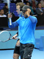 Radek Stepanek, Leander Paes