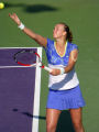 Petra Kvitova