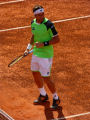 David Ferrer
