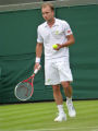 Steve Darcis